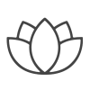 icon-lotus-flower calm lotus flower