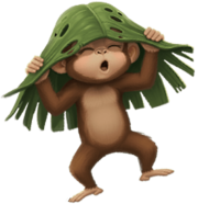 monkey